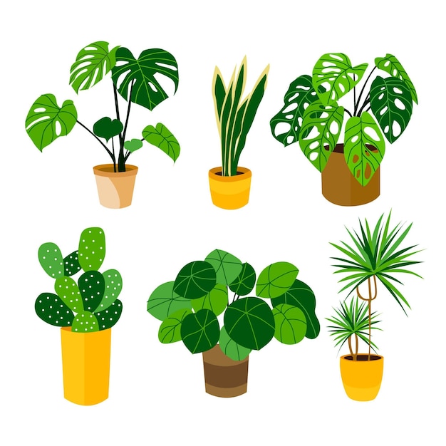 Vector gratuito colección de plantas de interior planas orgánicas