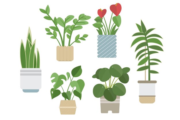 Colección de plantas de interior planas orgánicas