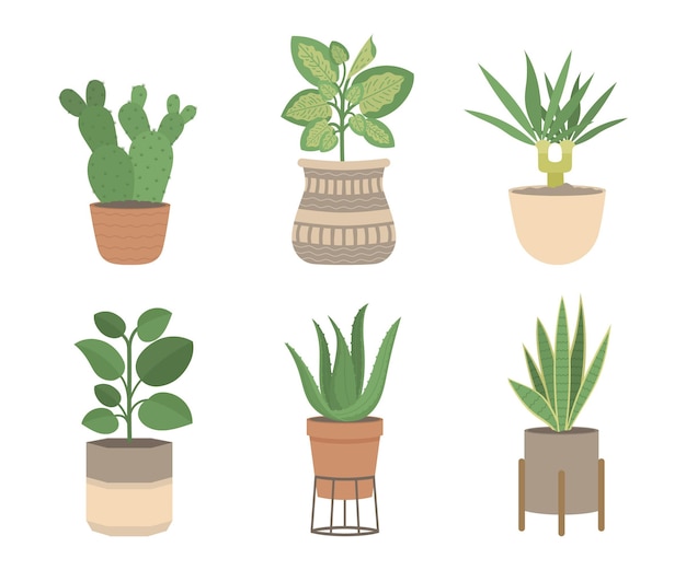 Vector gratuito colección de plantas de interior planas orgánicas