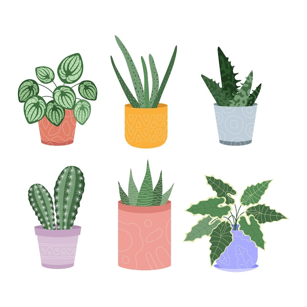 Vector gratuito colección de plantas de interior planas orgánicas