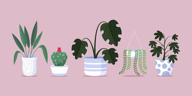 Vector gratuito colección de plantas de interior planas