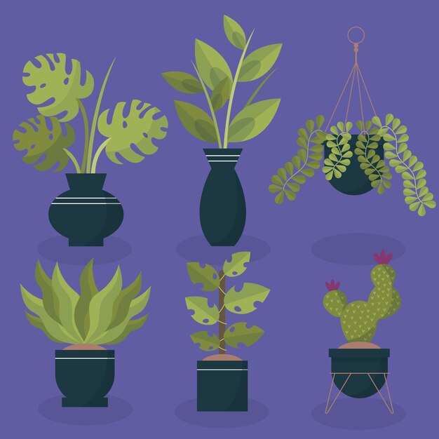 Colección de plantas de interior planas