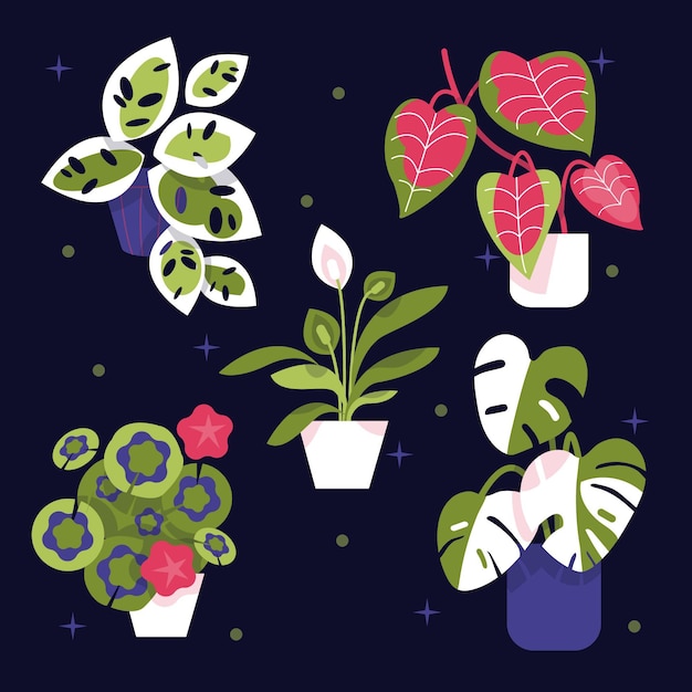 Vector gratuito colección de plantas de interior planas