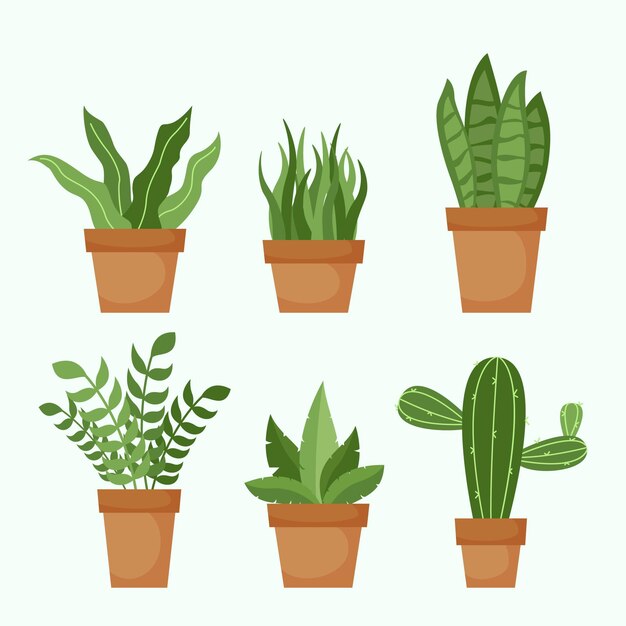 Colección de plantas de interior planas