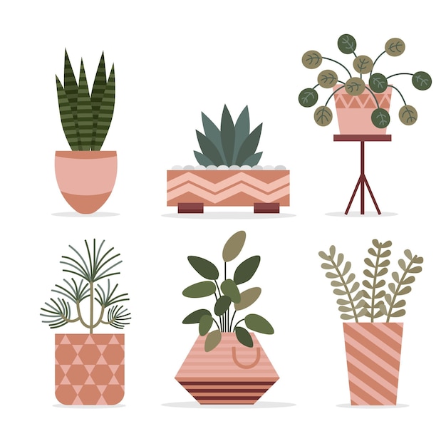 Vector gratuito colección de plantas de interior planas