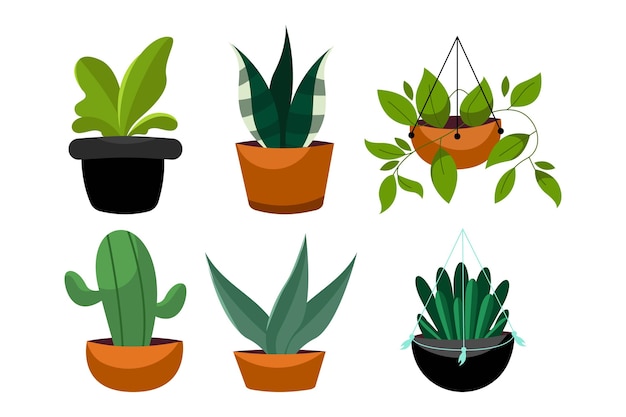 Vector gratuito colección de plantas de interior