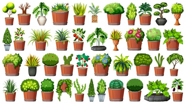 Colección de plantas en macetas en blanco