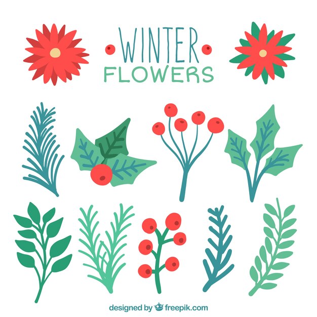 Colección de plantas navideñas de acuarela 