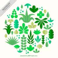 Vector gratuito colección de plantas