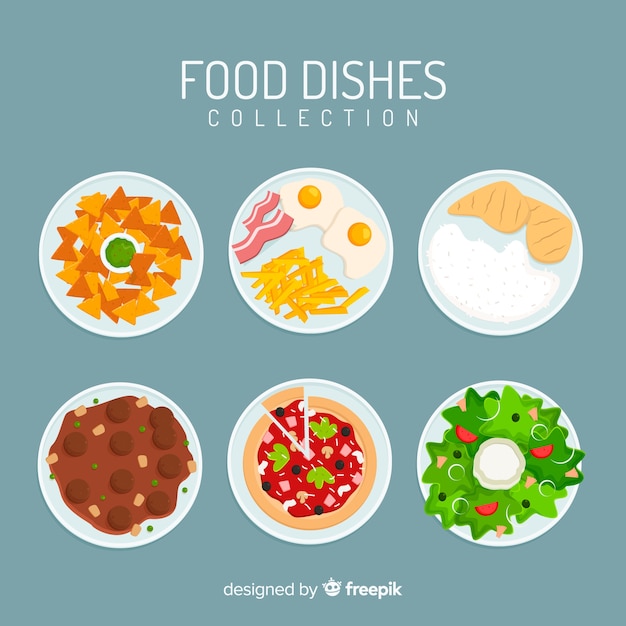 Colección platos de comida deliciosos