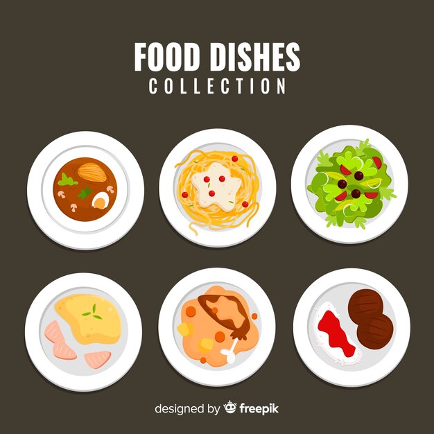 Colección platos de comida deliciosos