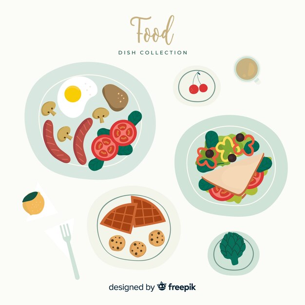 Colección platos de comida ricos