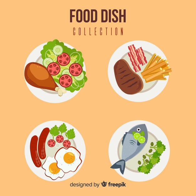 Colección platos de comida ricos