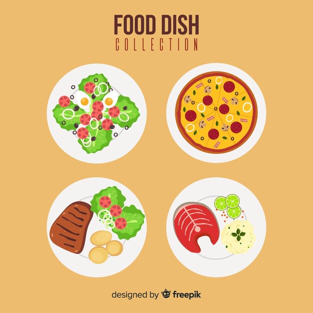 Colección platos de comida ricos
