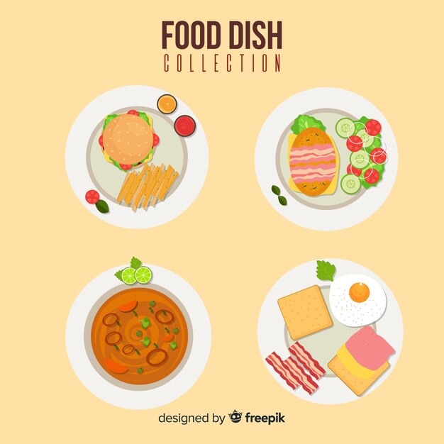 Colección platos de comida ricos
