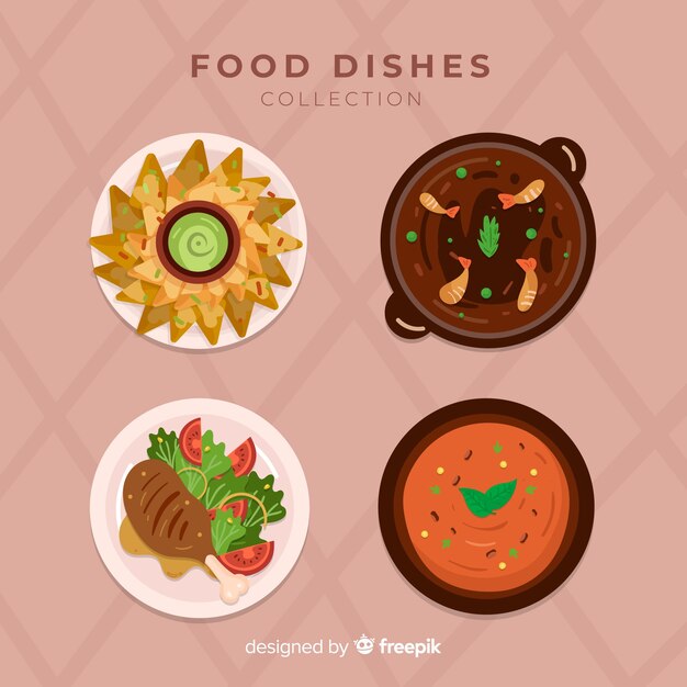 Colección platos de comida ricos