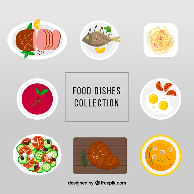 Colección de platos de comida vistos desde arriba