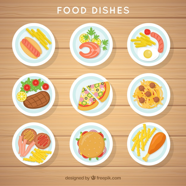 Colección platos de comida