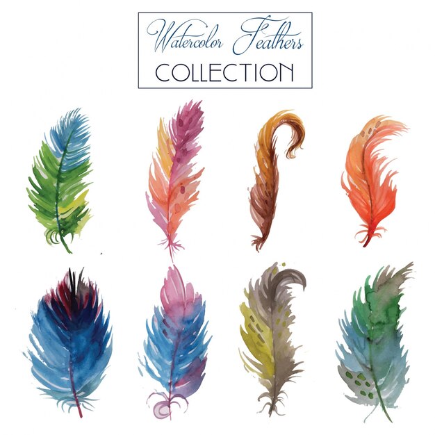 Colección de plumas de acuarela