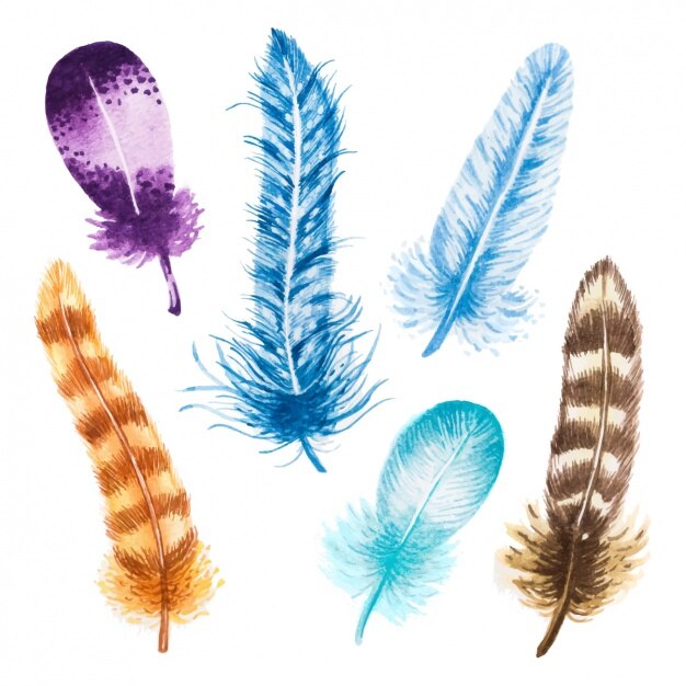 Colección de plumas decorativas