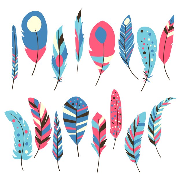 Colección de plumas multicolor