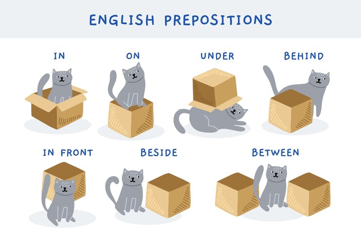 Vector gratuito colección de preposiciones en inglés con lindo gato.