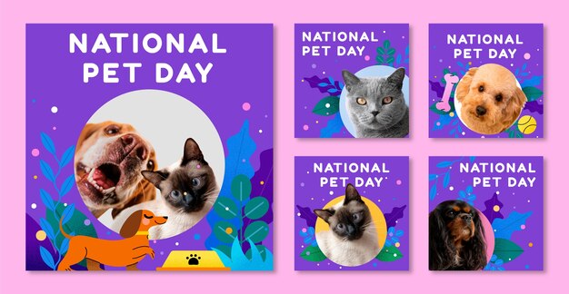 Colección de publicaciones de instagram del día nacional de las mascotas