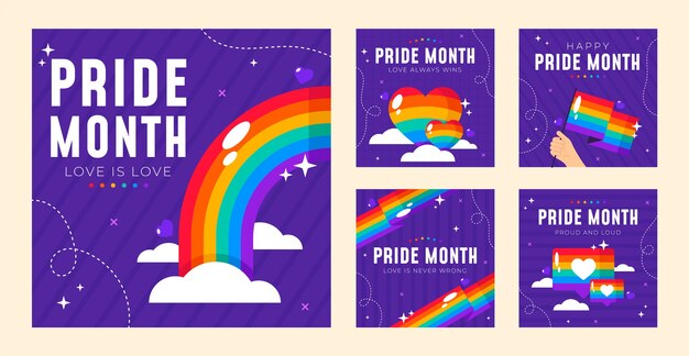 Colección de publicaciones de instagram del mes del orgullo plano