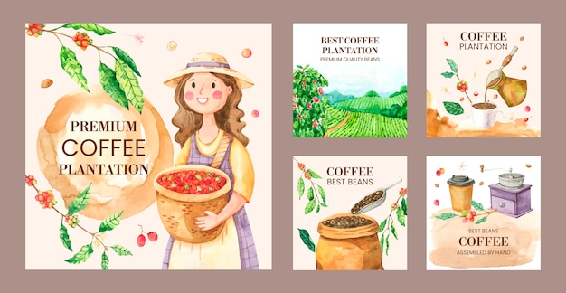 Vector gratuito colección de publicaciones de instagram de plantaciones de café en acuarela