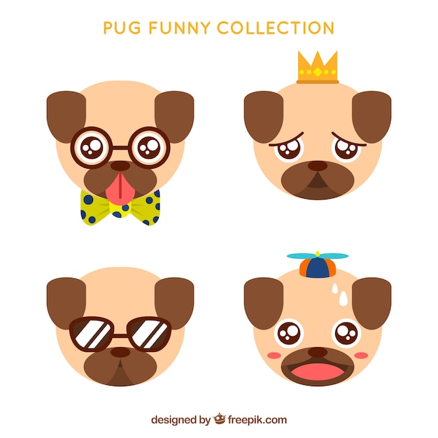 Vector gratuito colección de pug divertido