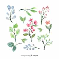 Vector gratuito colección de ramas florales artísticas de acuarela
