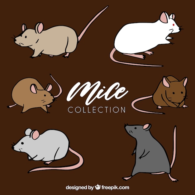 Vector gratuito colección de ratones dibujados a mano