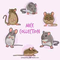 Vector gratuito colección de ratones dibujados a mano