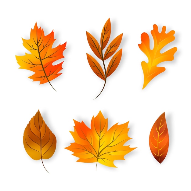Colección realista de hojas de otoño