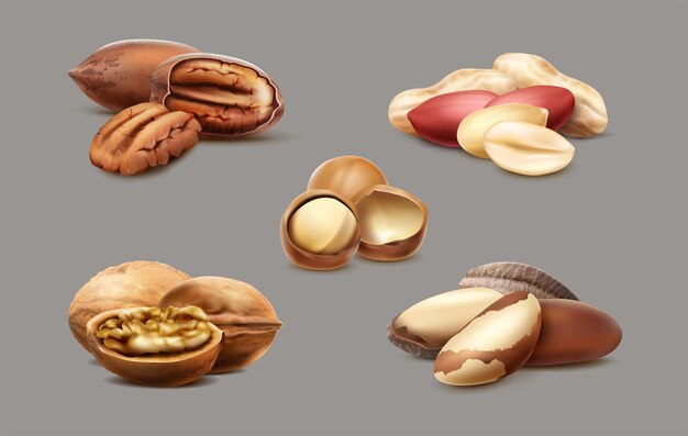 Colección realista de nueces de macadamia, avellana y nuez