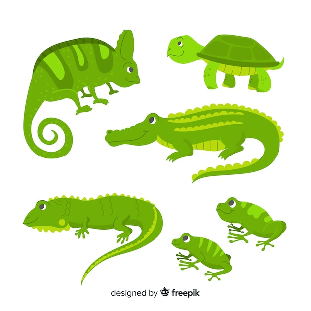Colección reptiles tropicales dibujados a mano