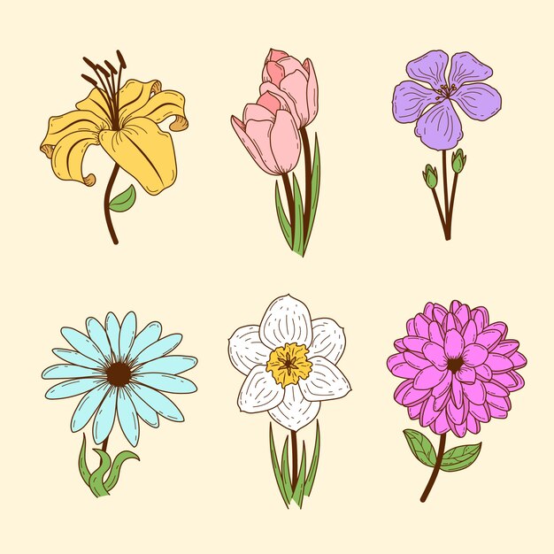 Colección retro de flores de primavera
