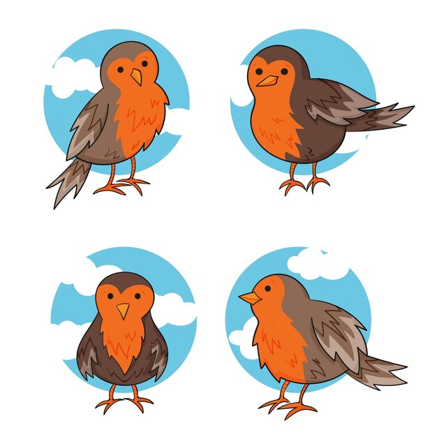 Colección robin dibujada a mano