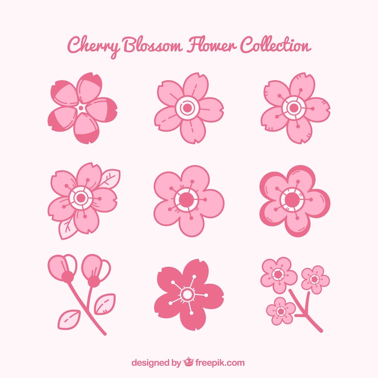 Vector gratuito colección rosa de flores del cerezo