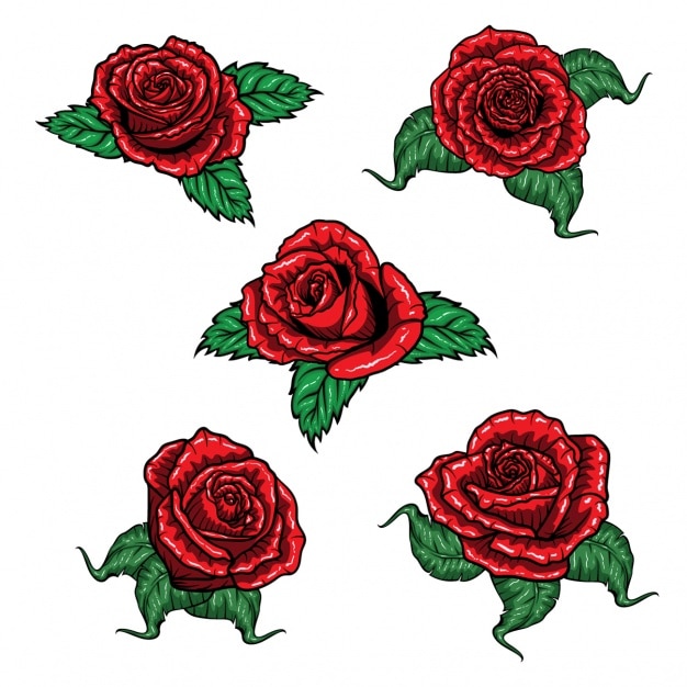 Vector gratuito colección de rosas a color