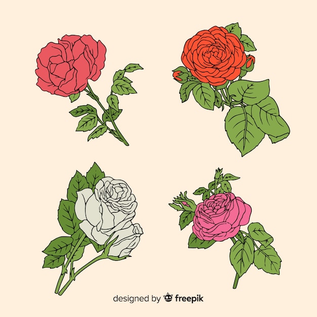 Vector gratuito colección rosas dibujadas a mano