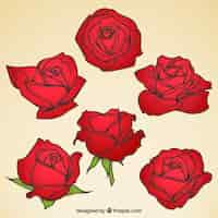 Vector gratuito colección de rosas rojas con diferentes diseños