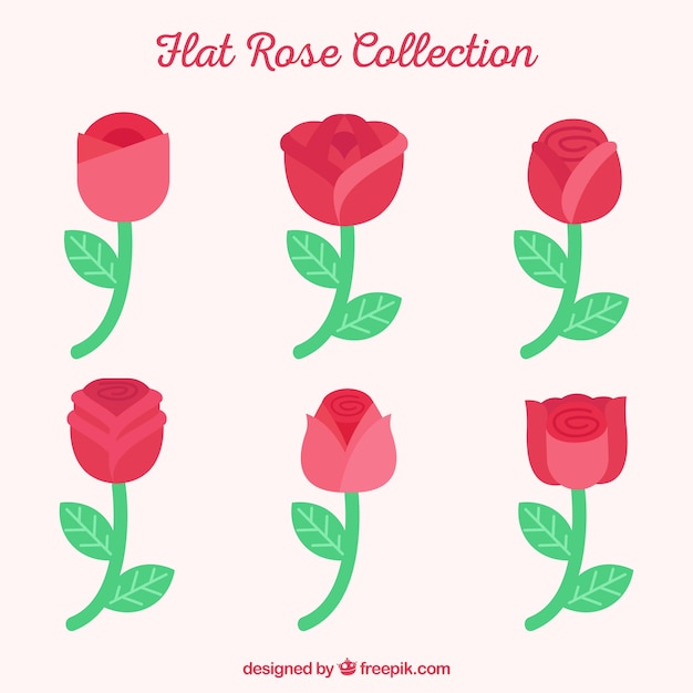 Vector gratuito colección de rosas rojas