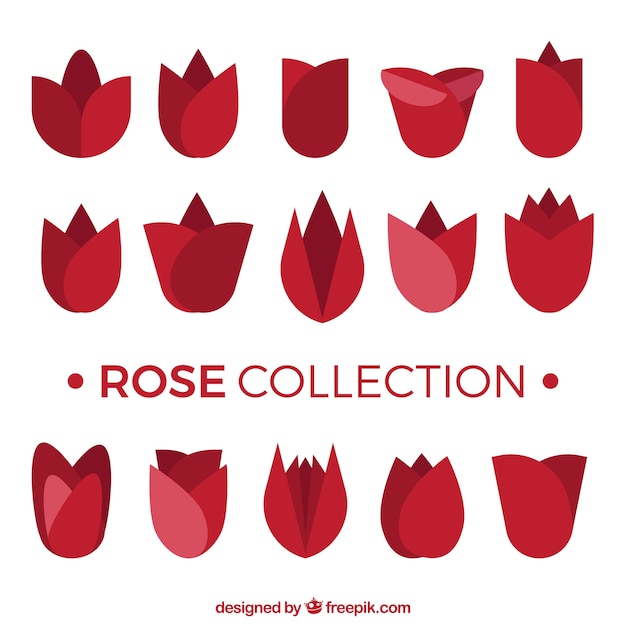 Colección de rosas rojas