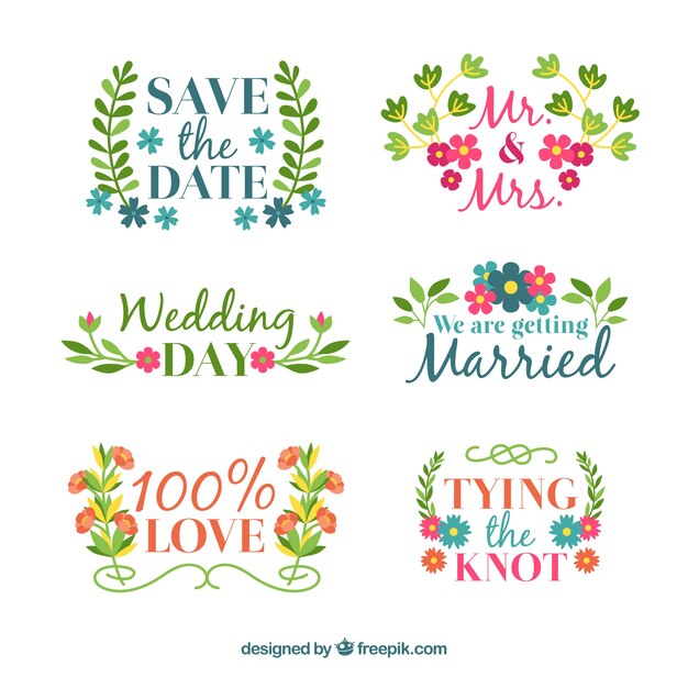 Colección de seis etiquetas florales de boda