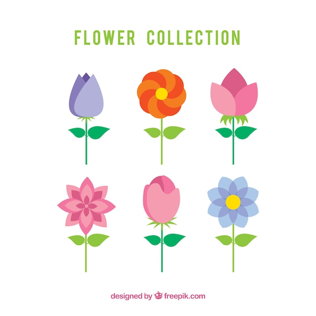 Vector gratuito colección de seis flores estilo flat