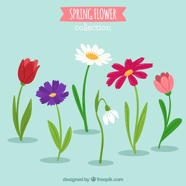 Vector gratuito colección de seis flores de primavera