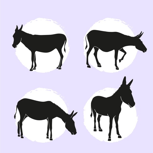 Colección de siluetas de burros planos