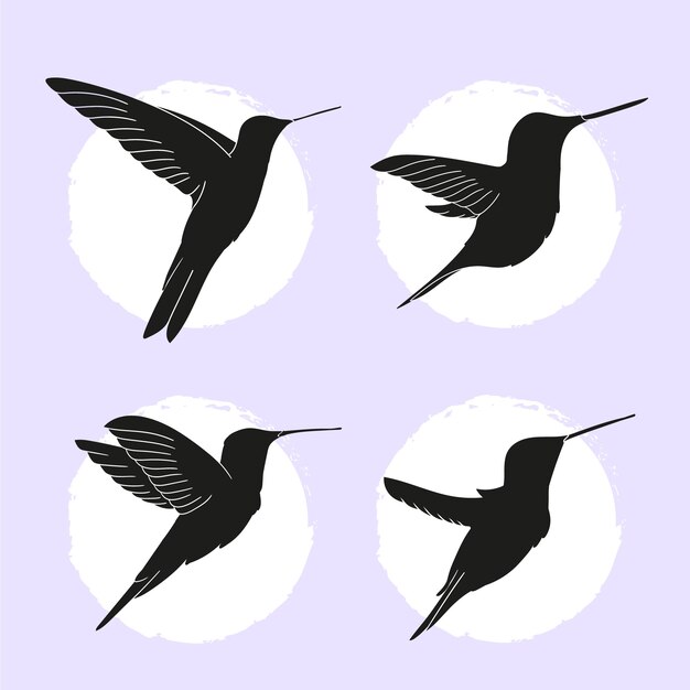 Colección de siluetas de colibrí plano