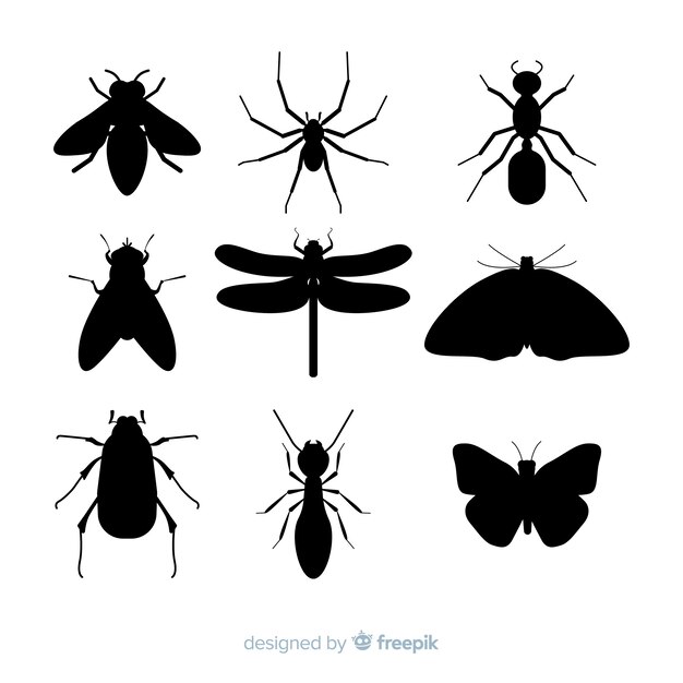 Colección siluetas insectos planas
